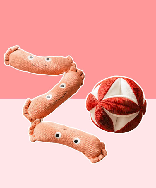 Pack of 2 Dog Toys Chewsy