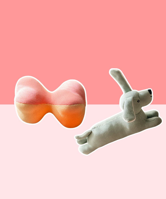 Pack of 2 Dog Toys- Playful