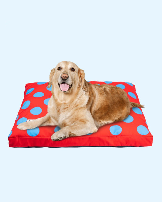 Polka Flat Dog Bed