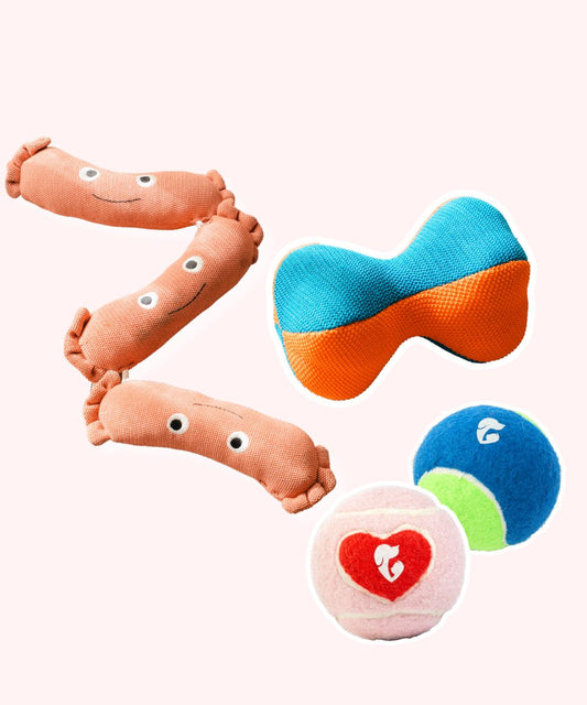 Fur-tastic Pack of 4 Dog Toys